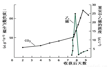 酶制剂在医学领域的应用前景